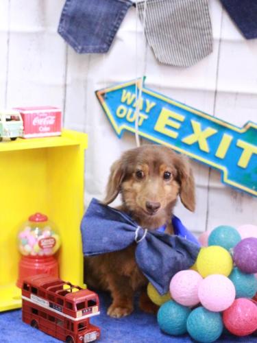 20230423モカくん